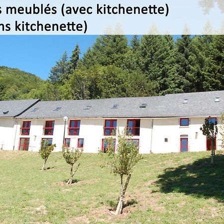 Gite Du Haut Cantal - Appartements Meubles Avec Kitchenette Et Chambres Sans Kitchenette Condat  Bagian luar foto