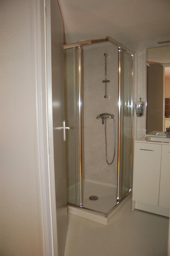 Gite Du Haut Cantal - Appartements Meubles Avec Kitchenette Et Chambres Sans Kitchenette Condat  Bagian luar foto