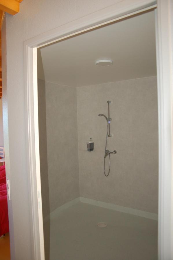 Gite Du Haut Cantal - Appartements Meubles Avec Kitchenette Et Chambres Sans Kitchenette Condat  Bagian luar foto