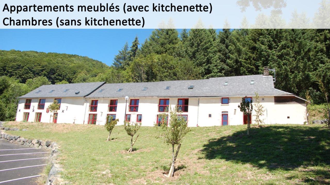 Gite Du Haut Cantal - Appartements Meubles Avec Kitchenette Et Chambres Sans Kitchenette Condat  Bagian luar foto